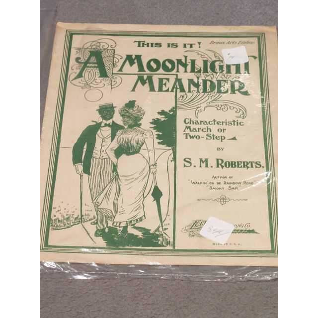A Moonlight Meander