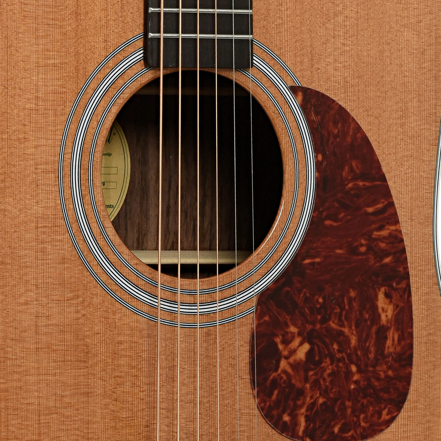 Bristol by Blueridge BL-160 Deluxe Series Dreadnought Acoustic Guitar - Image 6