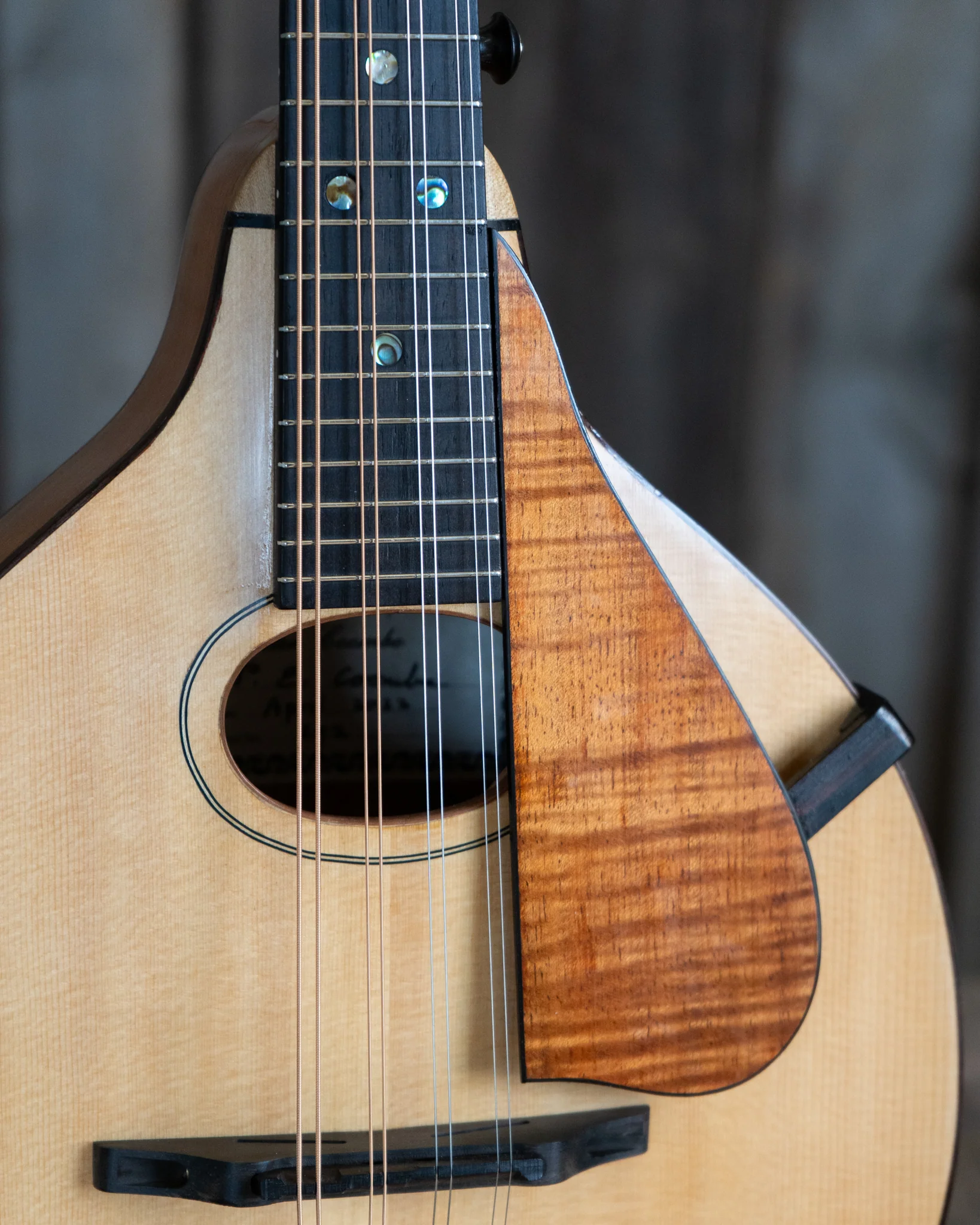 Peter Coombe Custom A Mandolin (2022)
