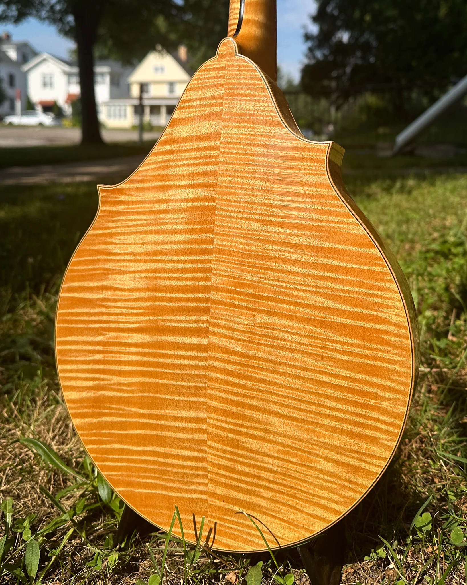 Eastman 904D 2-Point Mandolin (2006)