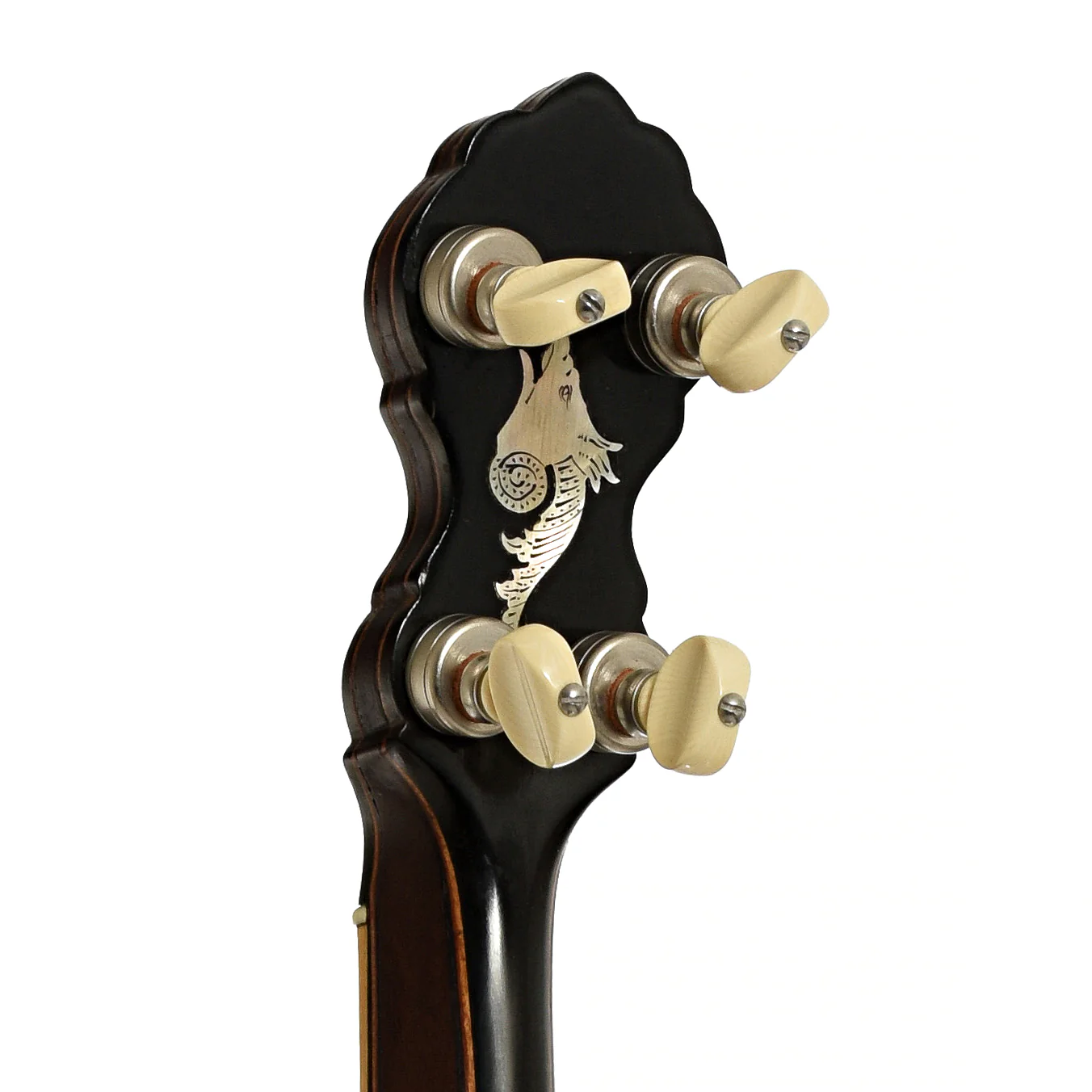 Fairbanks Special Electric No.5 Openback Banjo (1898) - Image 9