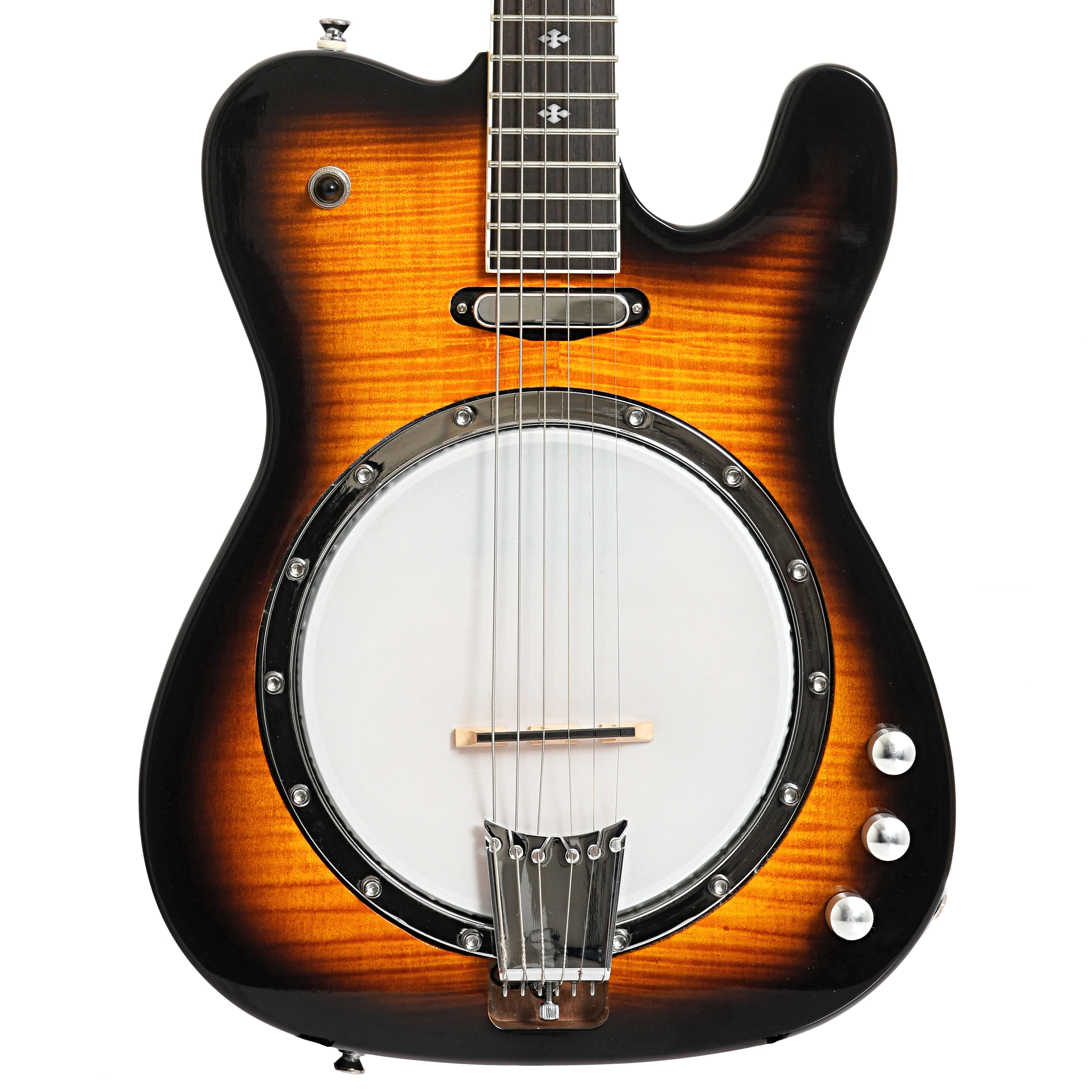 Gold Tone Es-Banjitar Banjo Guitar & Case