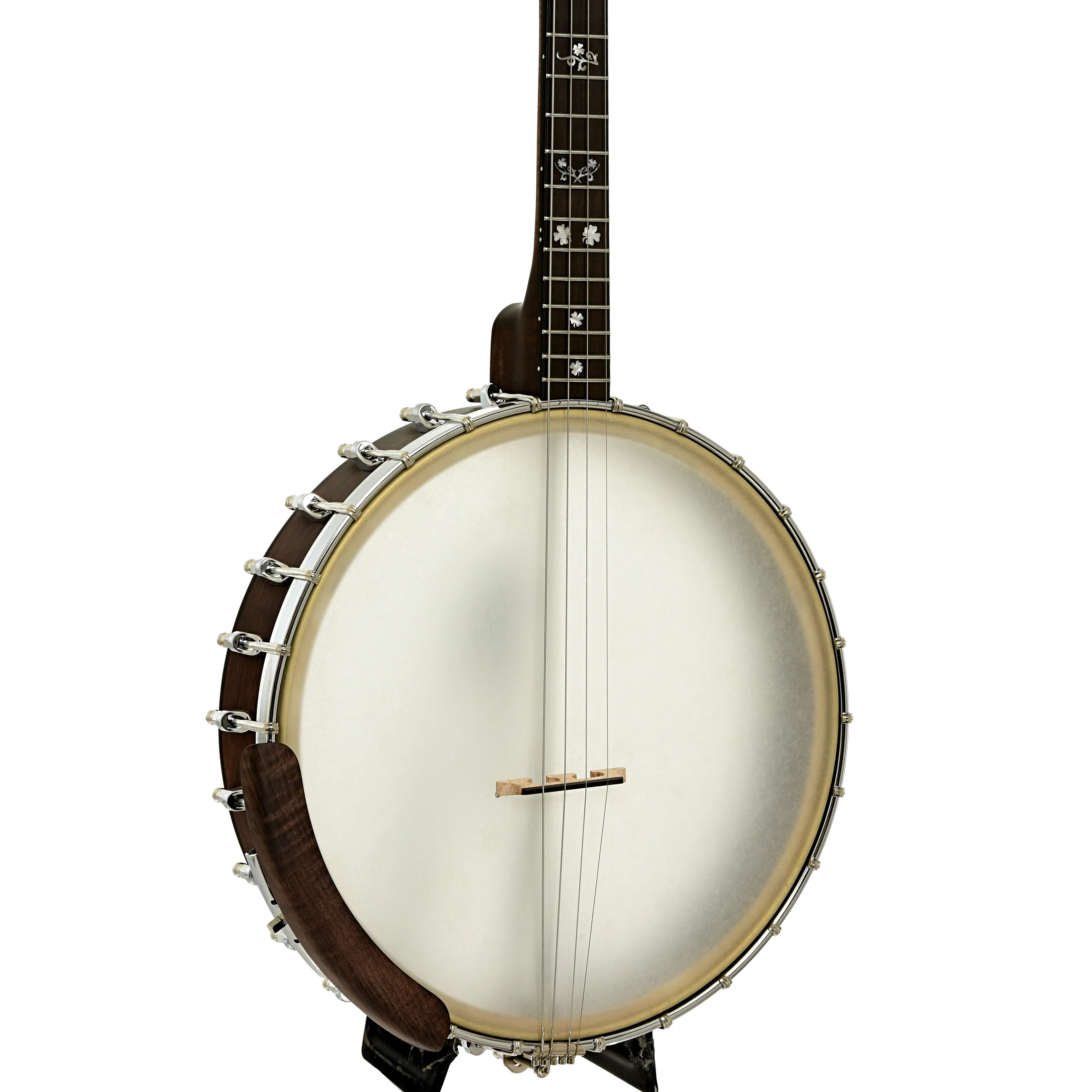Gold Tone Irish Tenor Banjo (2024)