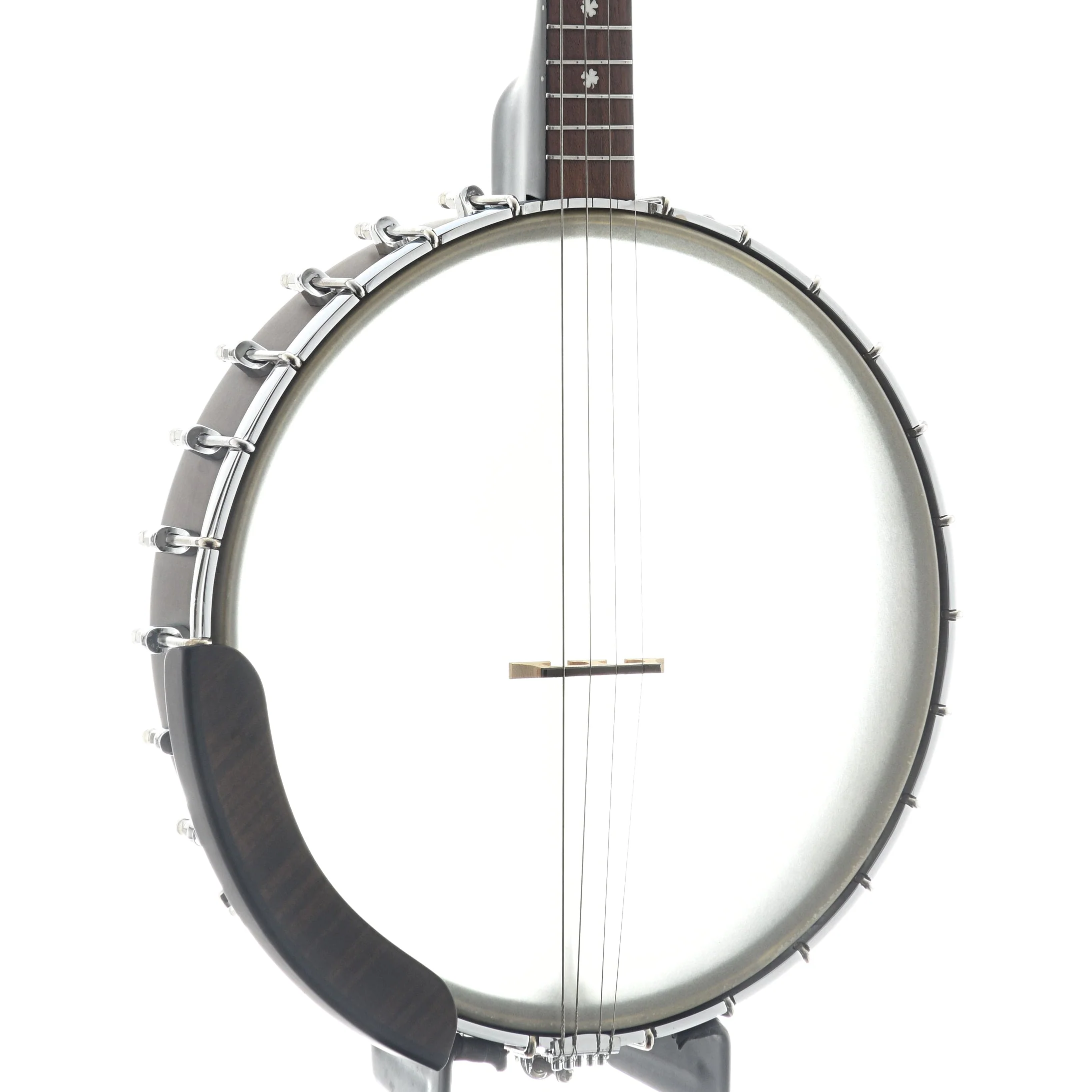 Gold Tone IT-19 12in Openback Tenor Banjo & Gigbag, 19-Fret