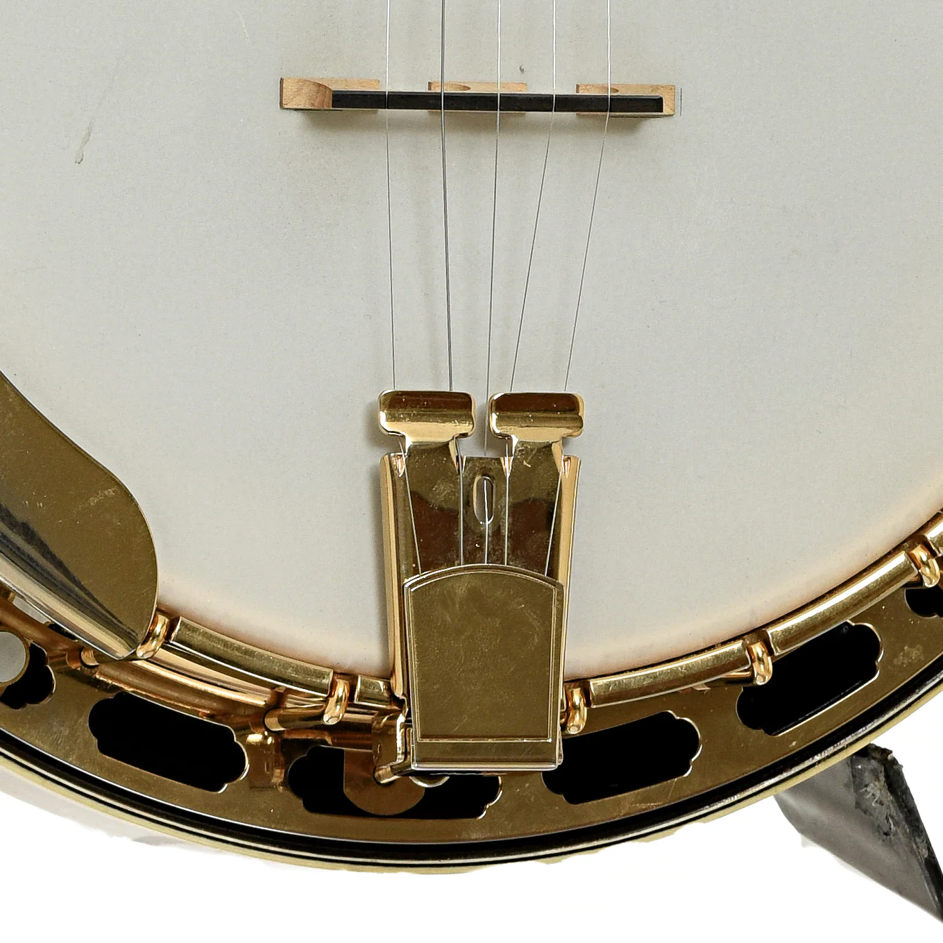 Grundy Flintriver "Blue Heeler" Custom Resonator Banjo (2010) - Image 4