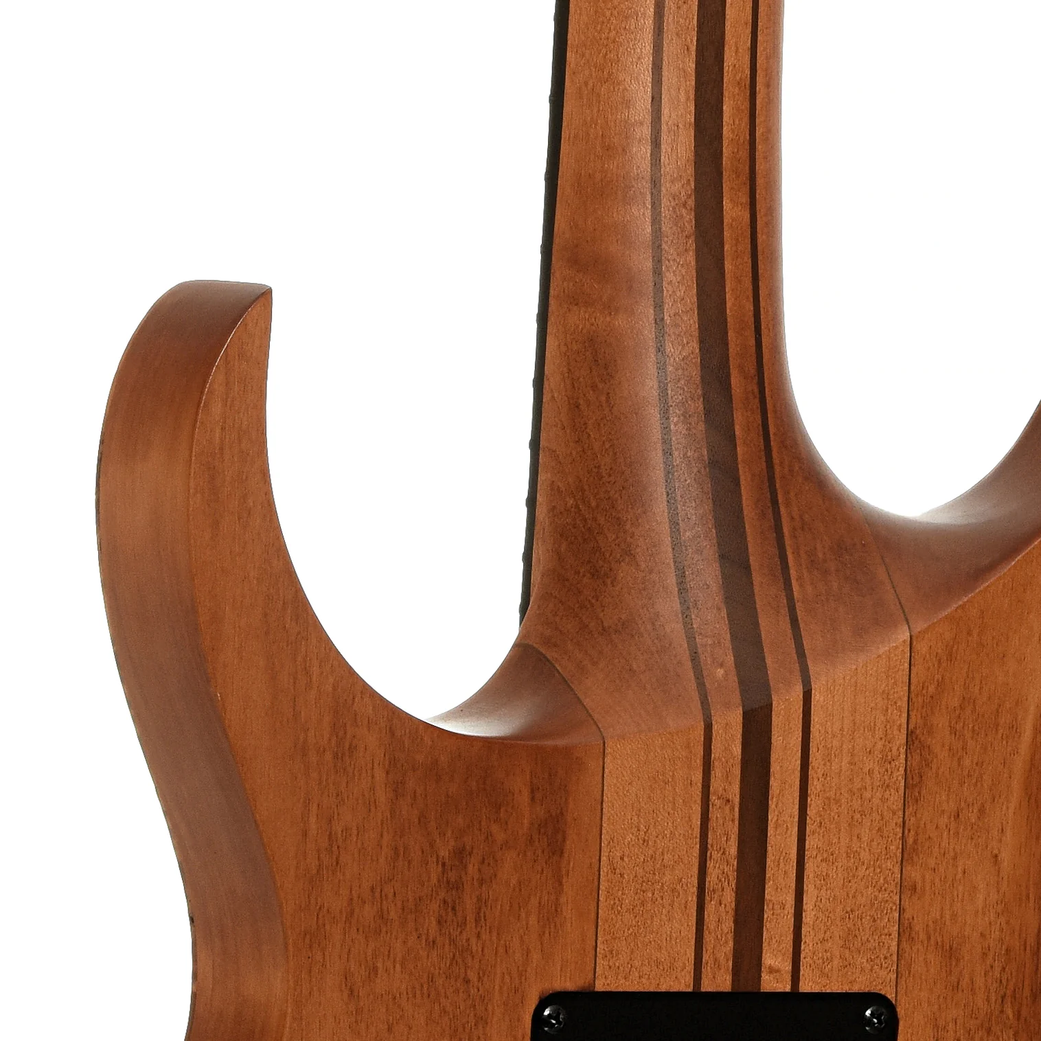 Ibanez RGT1220PB Electric Guitar (2022) - Image 10