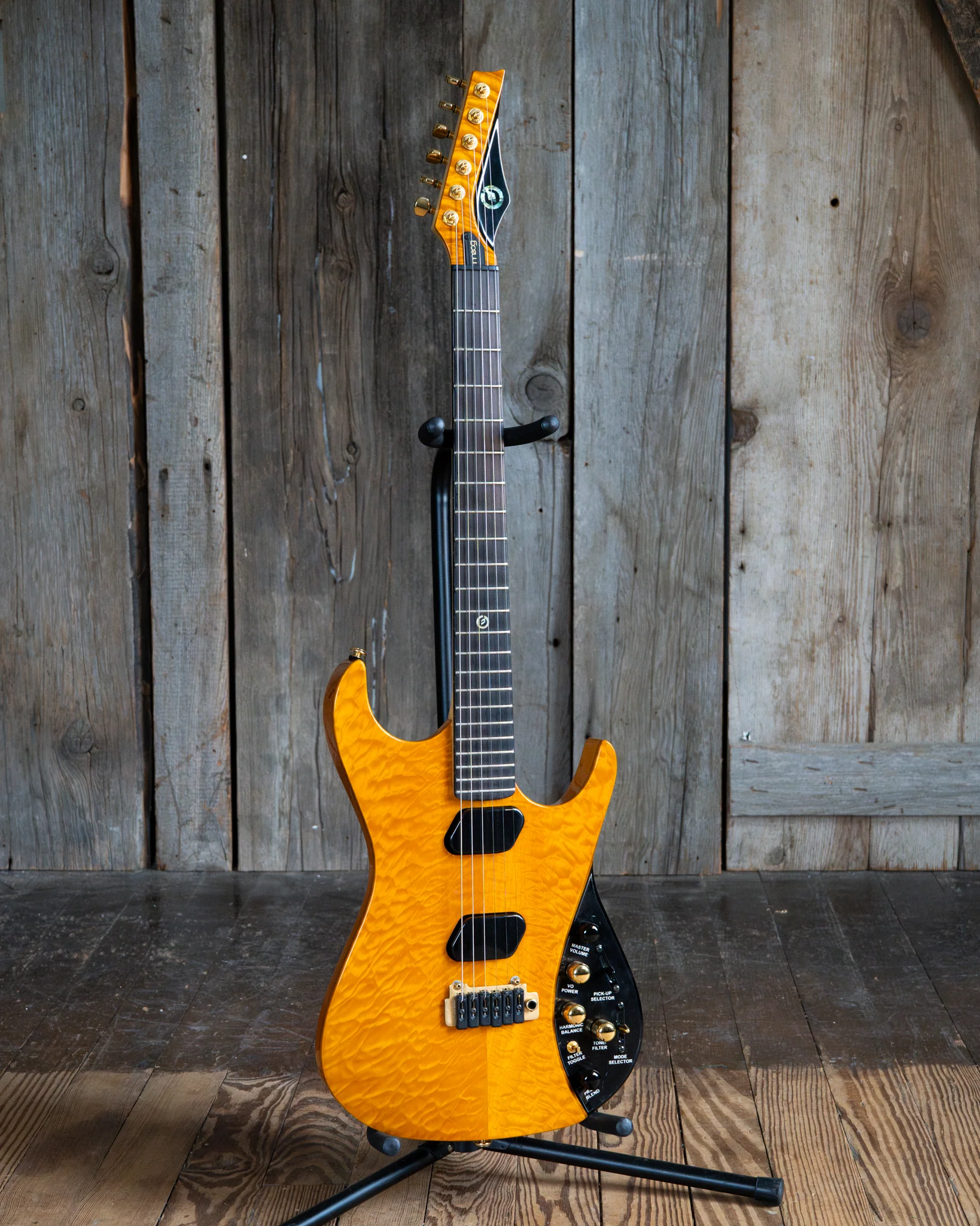 Moog E-1 Paul Vo Collector's Edition Electric Guitar (2008)