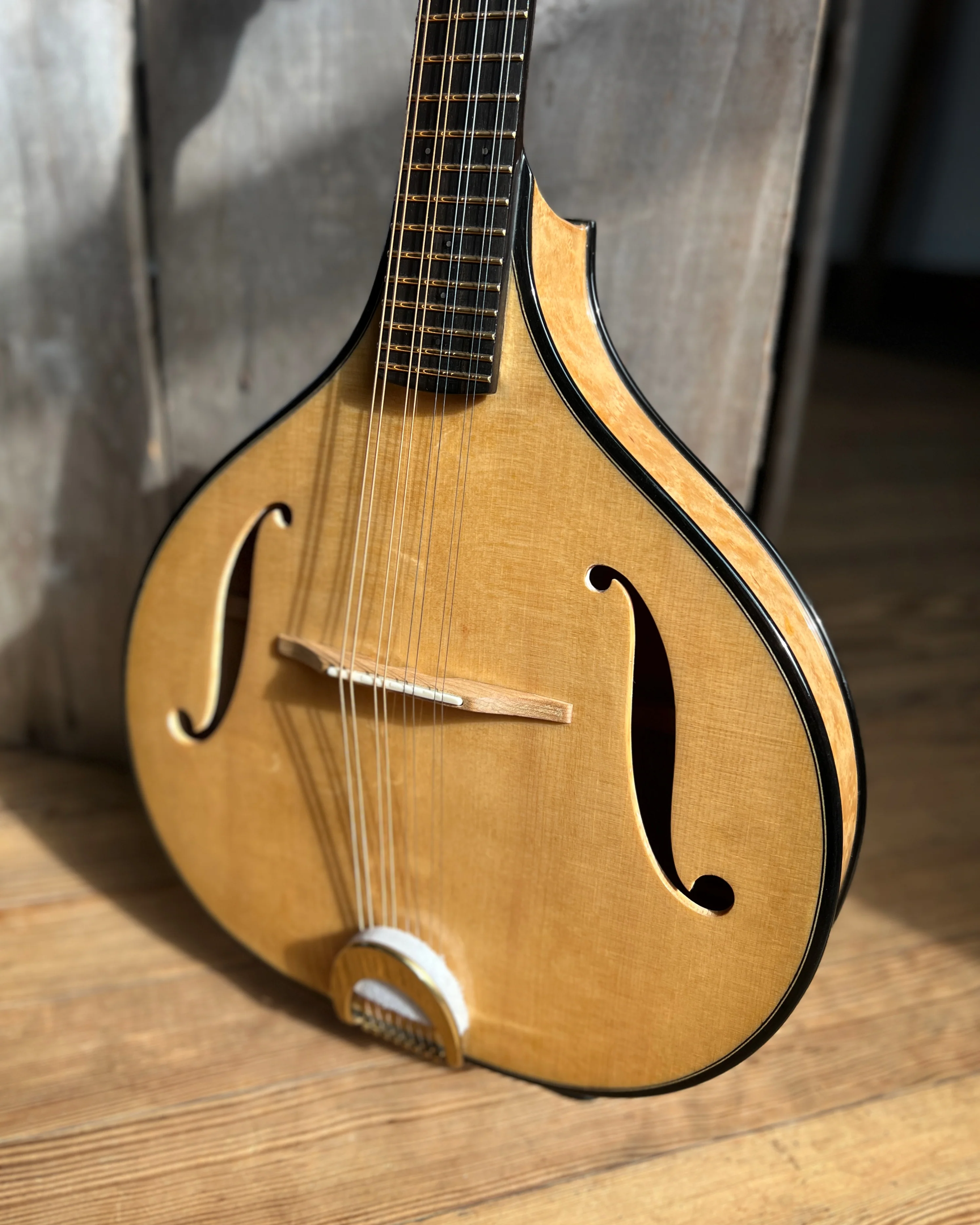 NK Forster Big Celtic F Mandolin (2020)
