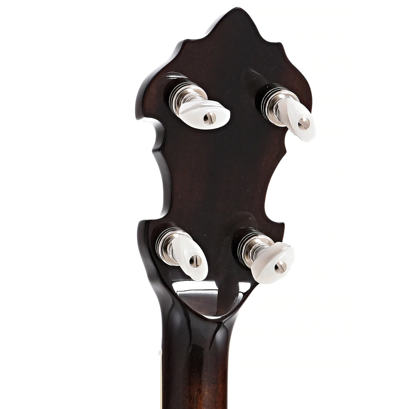 Recording King Elite 75 Flying Eagle Resonator Banjo & Case - Image 10