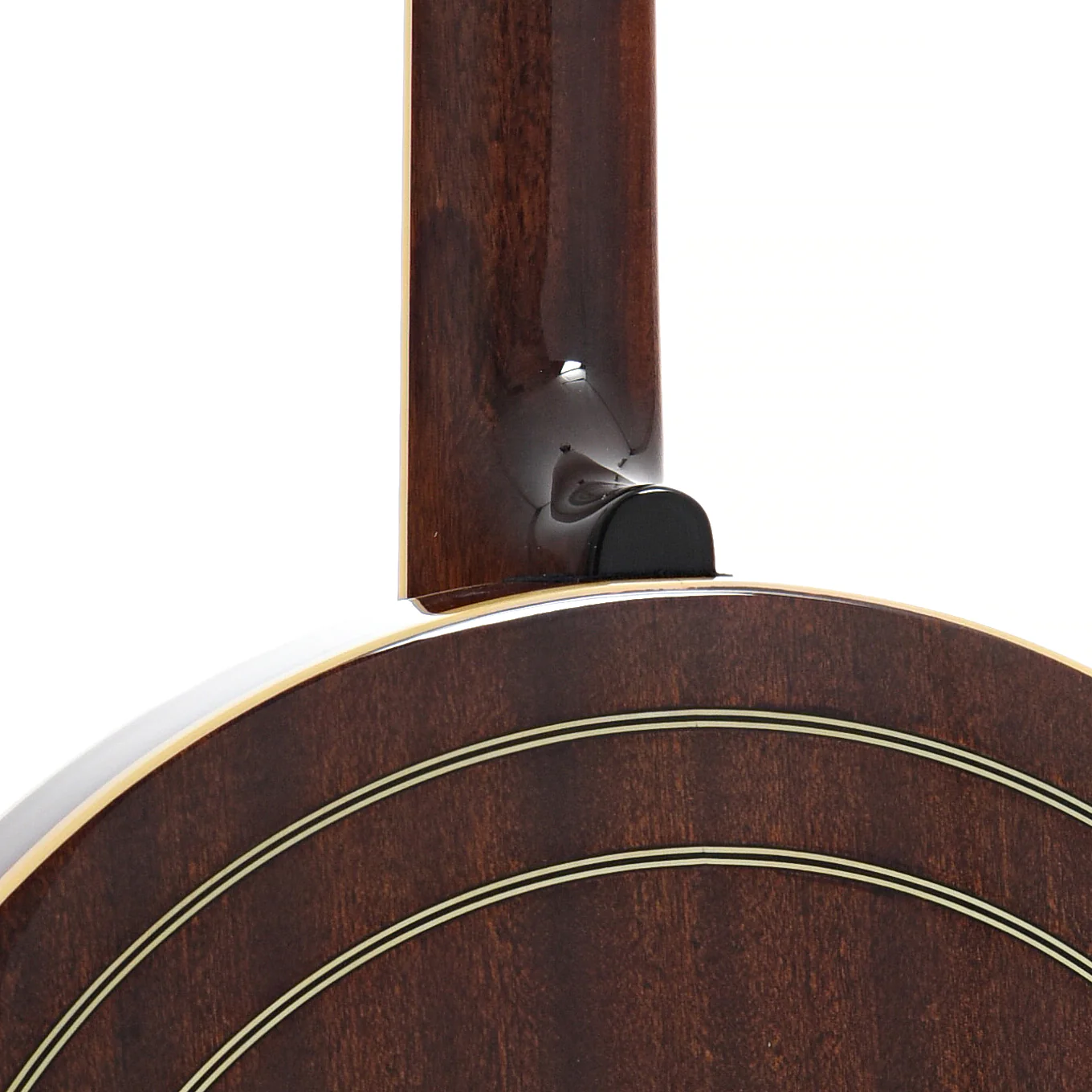Recording King Elite 75 Flying Eagle Resonator Banjo & Case - Image 11
