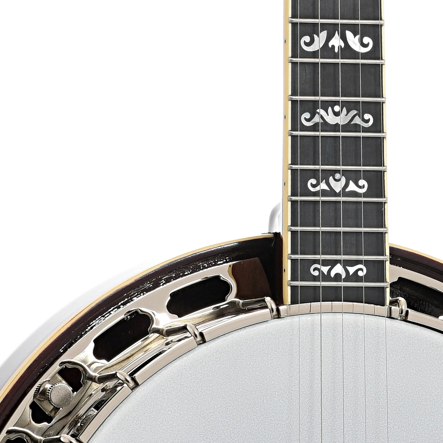 Recording King Elite 75 Flying Eagle Resonator Banjo & Case - Image 7