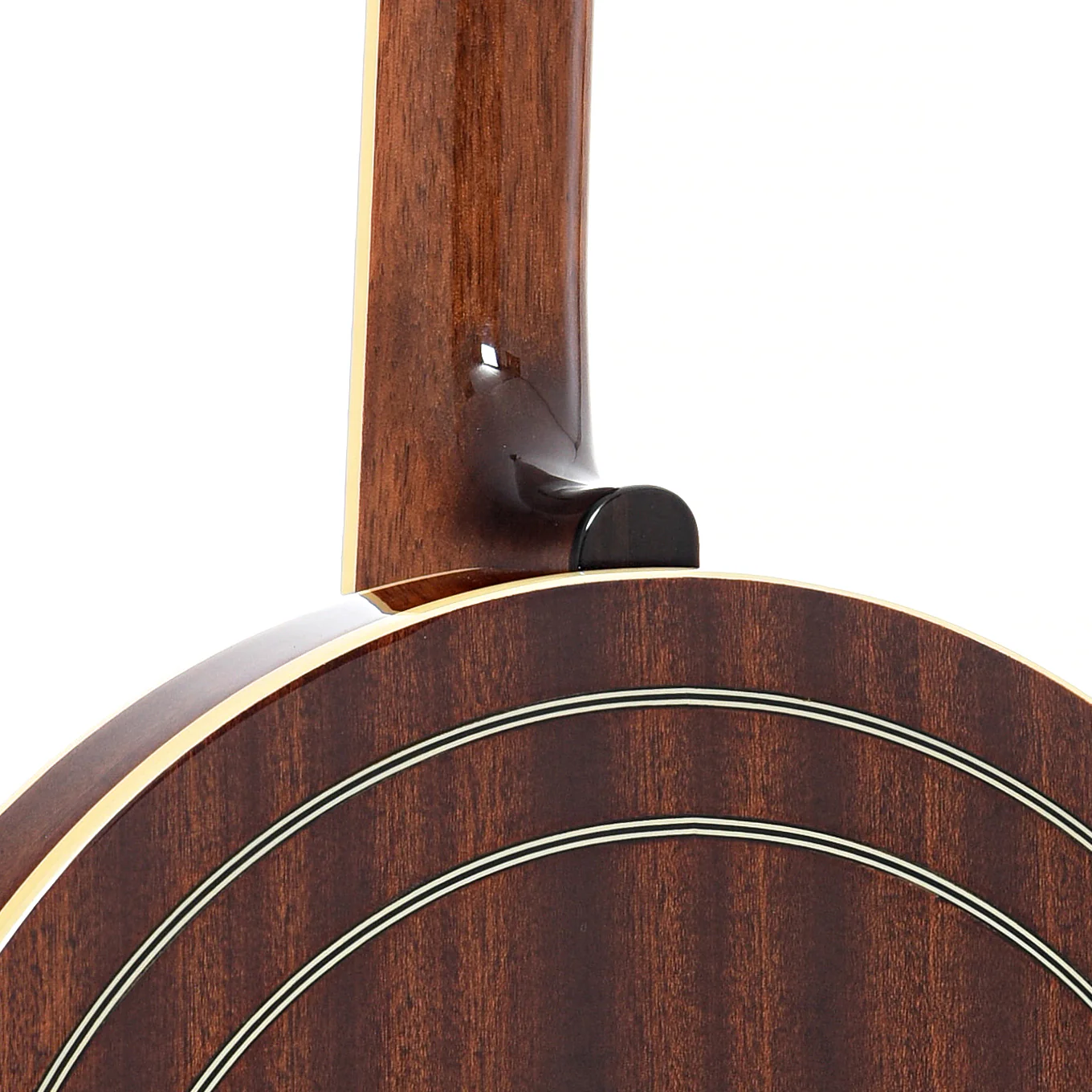 Recording King Elite 76 Hearts & Flowers Resonator Banjo & Case - Image 10