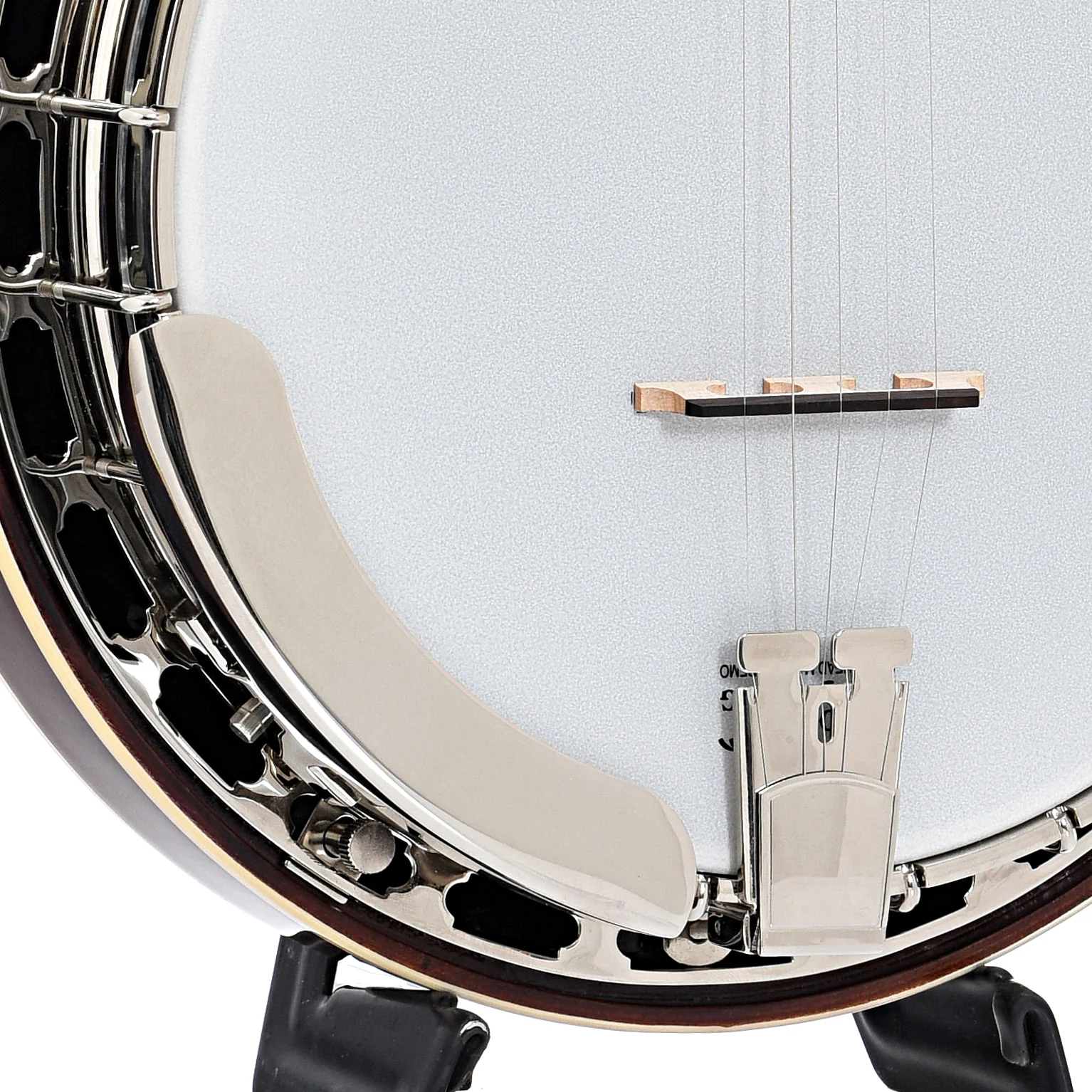 Recording King Elite 76 Hearts & Flowers Resonator Banjo & Case - Image 5