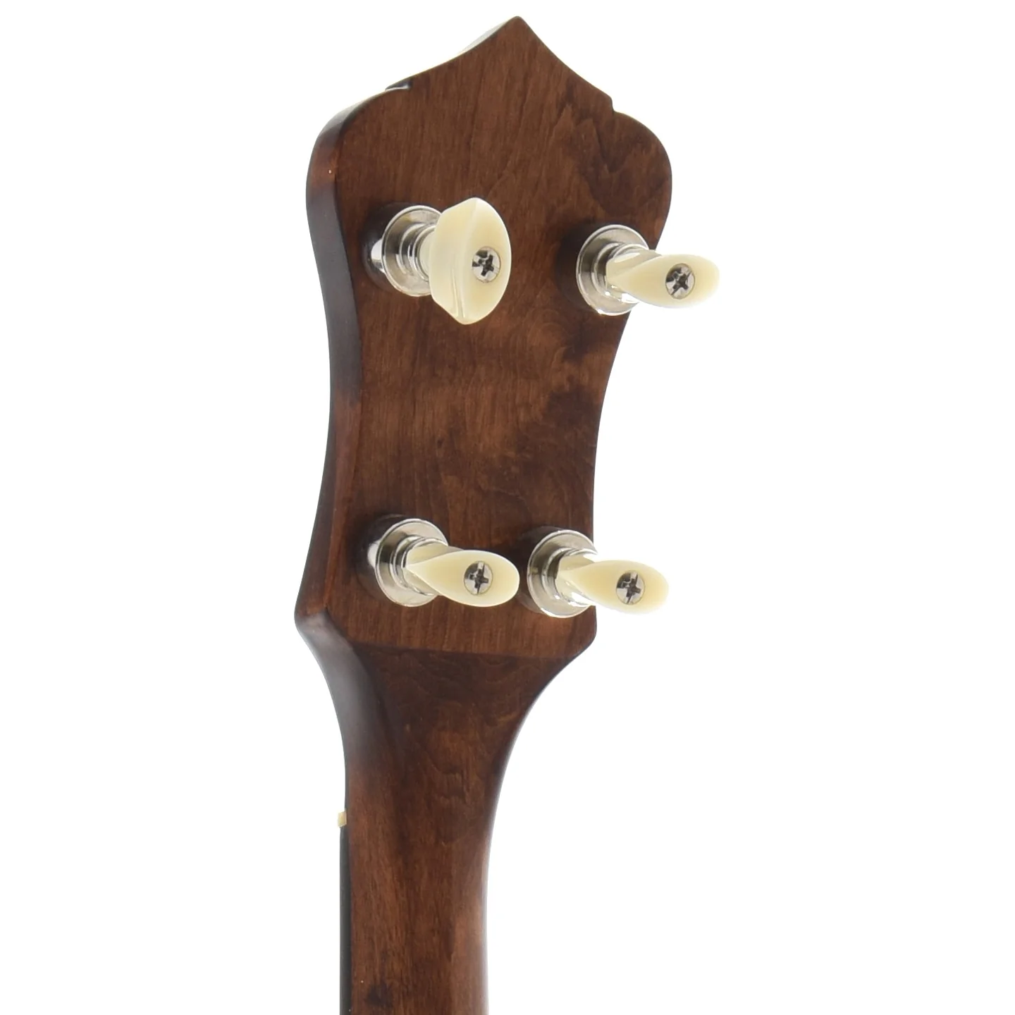 Recording King Madison Open-Back Banjo - Image 9