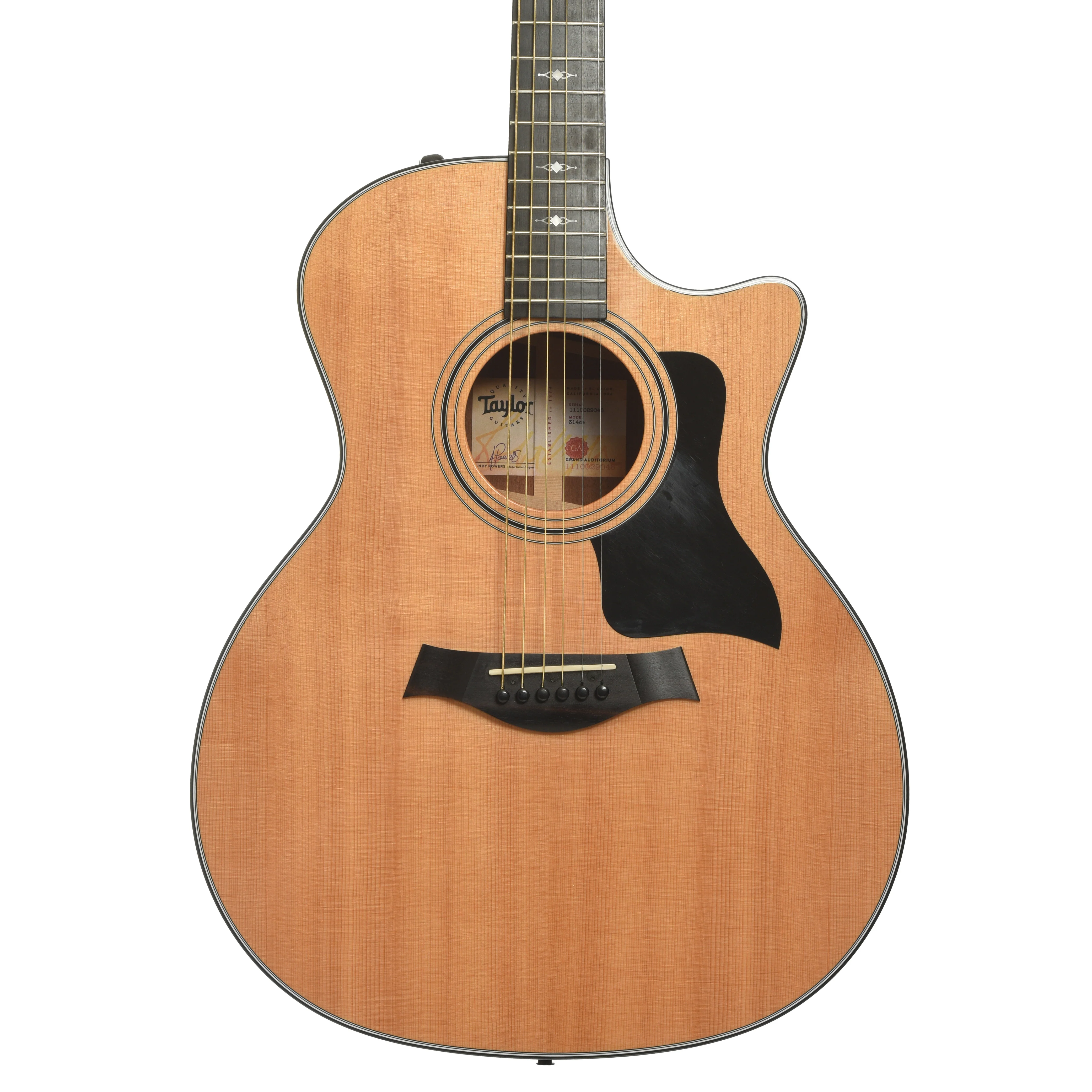 Taylor 314ce Acoustic-Electric Guitar (2019)