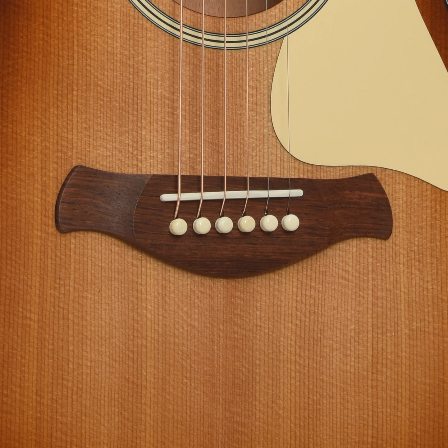 Taylor Ben Harper Gold Label 512e Special Edition Acoustic Guitar & Case - Image 5