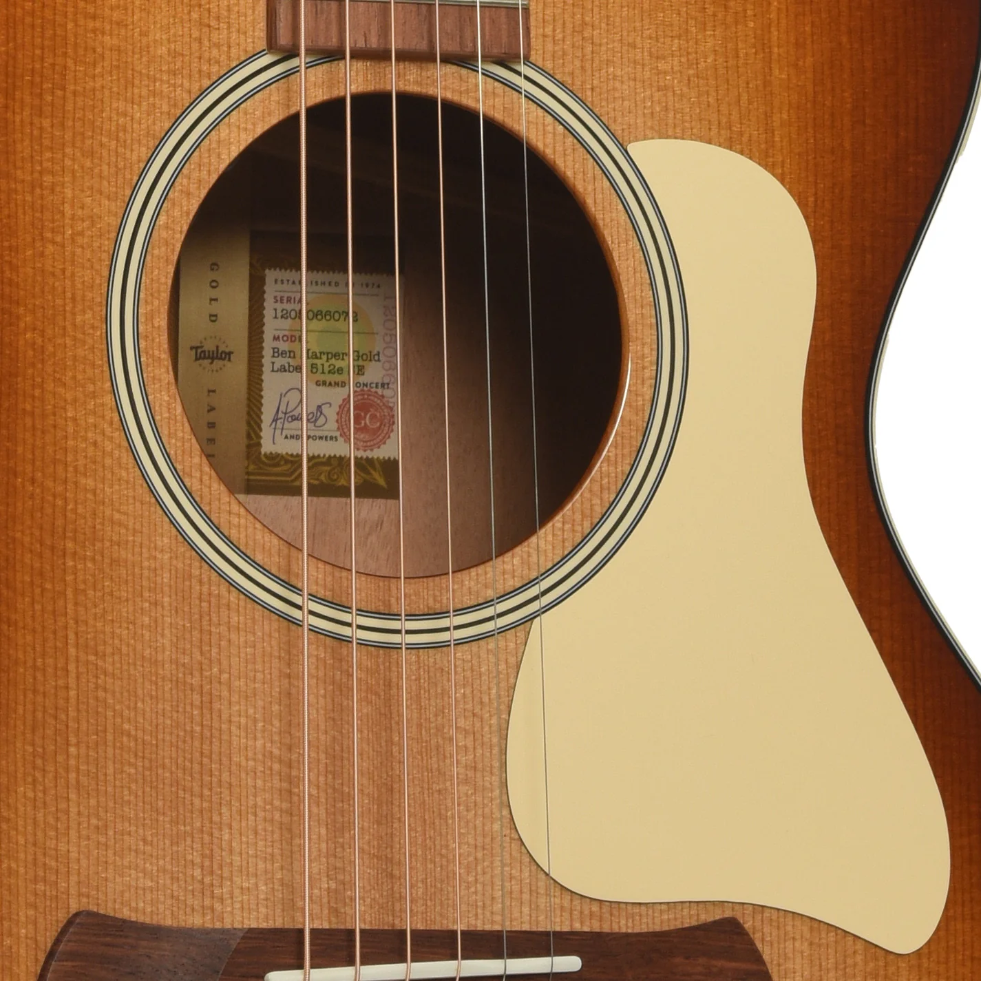 Taylor Ben Harper Gold Label 512e Special Edition Acoustic Guitar & Case - Image 6