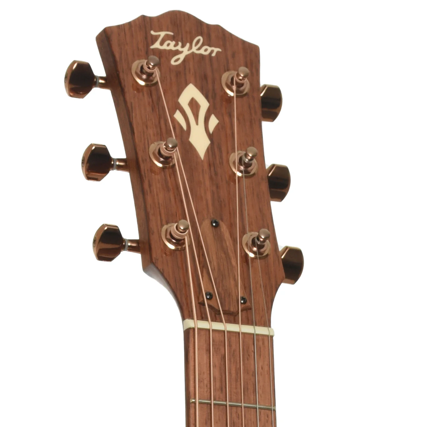 Taylor Ben Harper Gold Label 512e Special Edition Acoustic Guitar & Case - Image 8