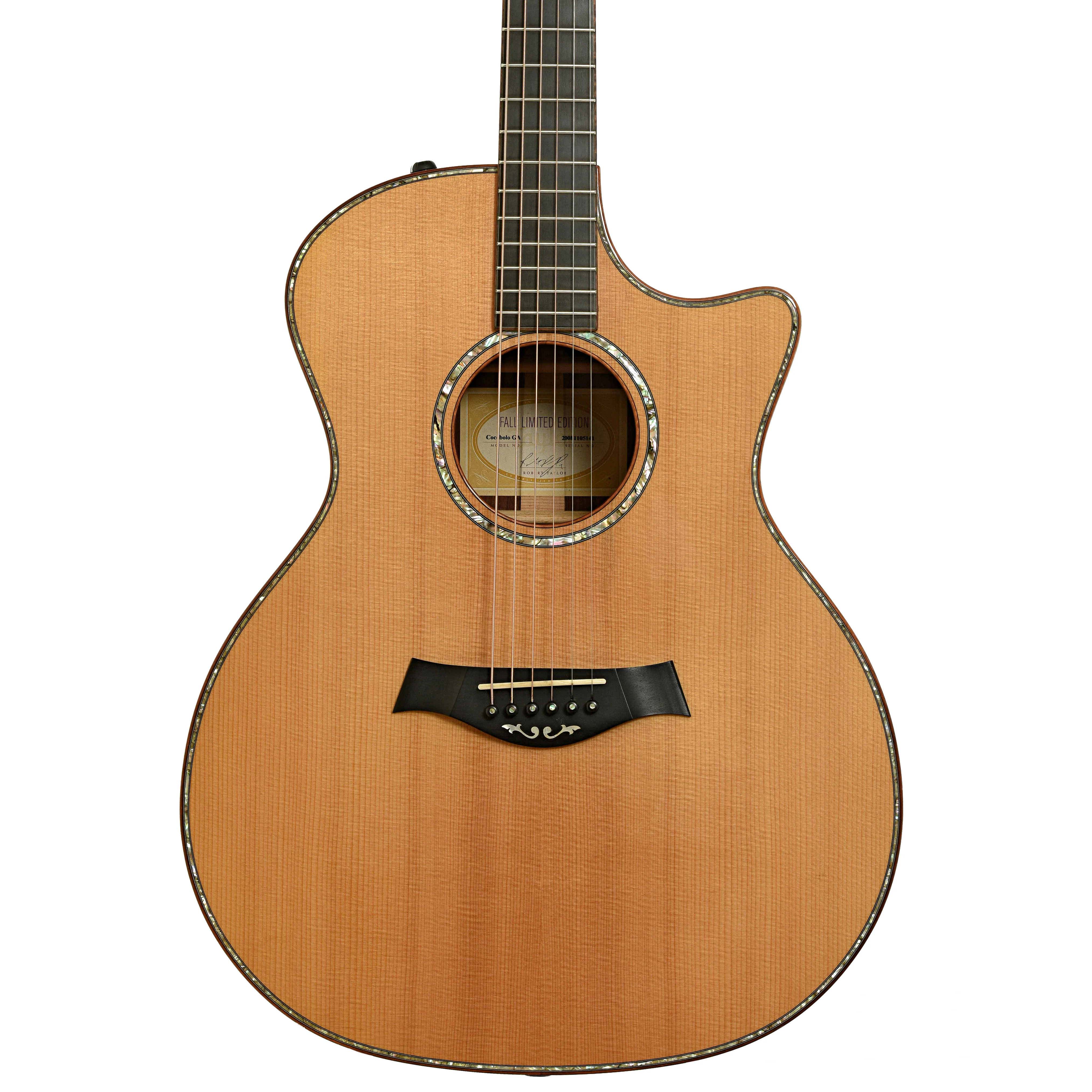 Taylor GA Cocobolo Fall Limited Edition Acoustic-Electric Guitar (2008)