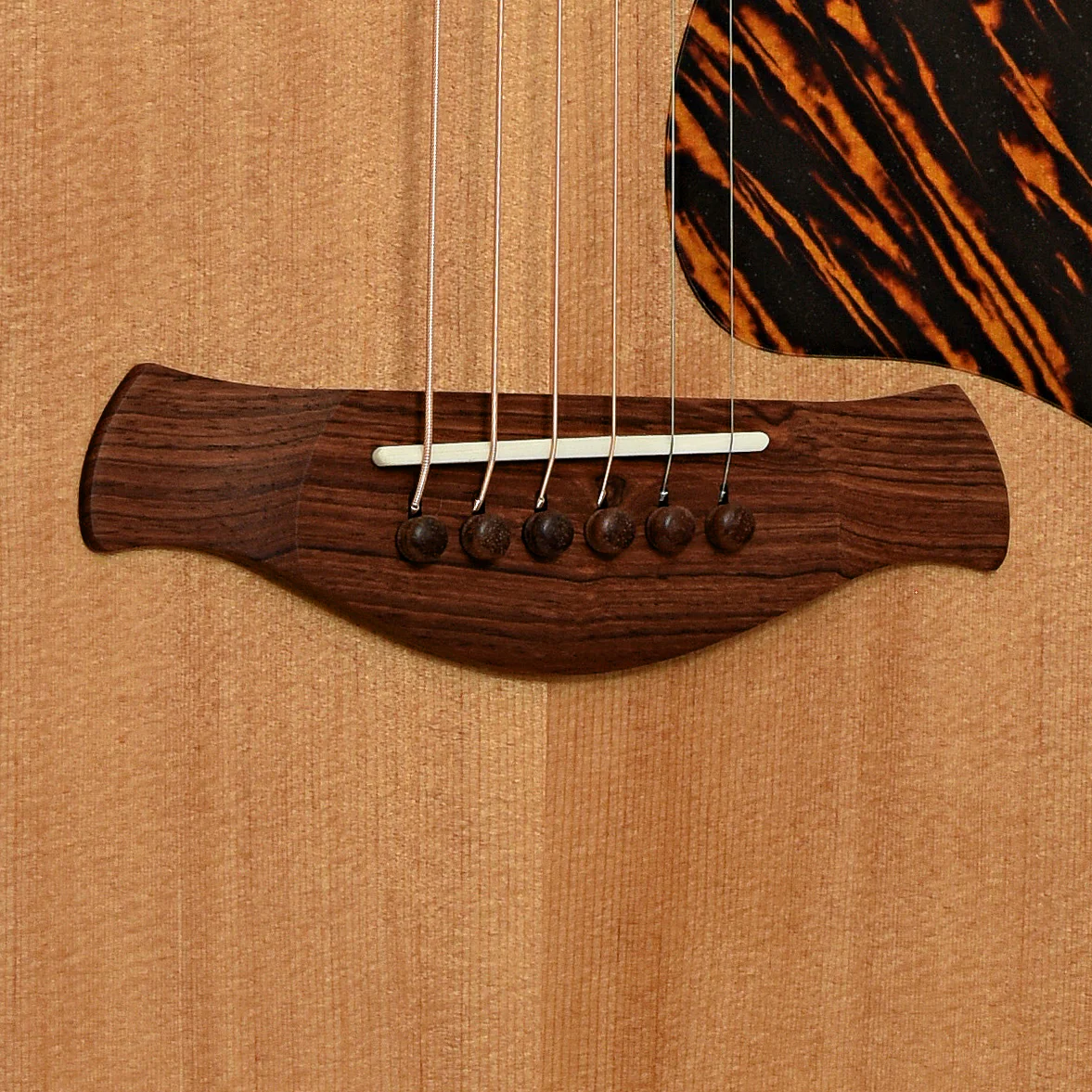 Taylor Gold Label 510e Acoustic-Electric Guitar & Gigbag - Image 5